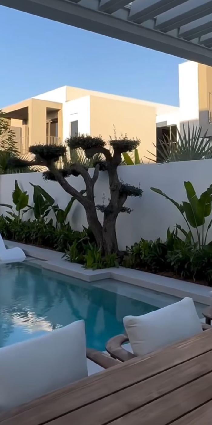 Plunge Pool Beneath a Pergola &mdash; completed Crownstone villa renovation, Dubai
