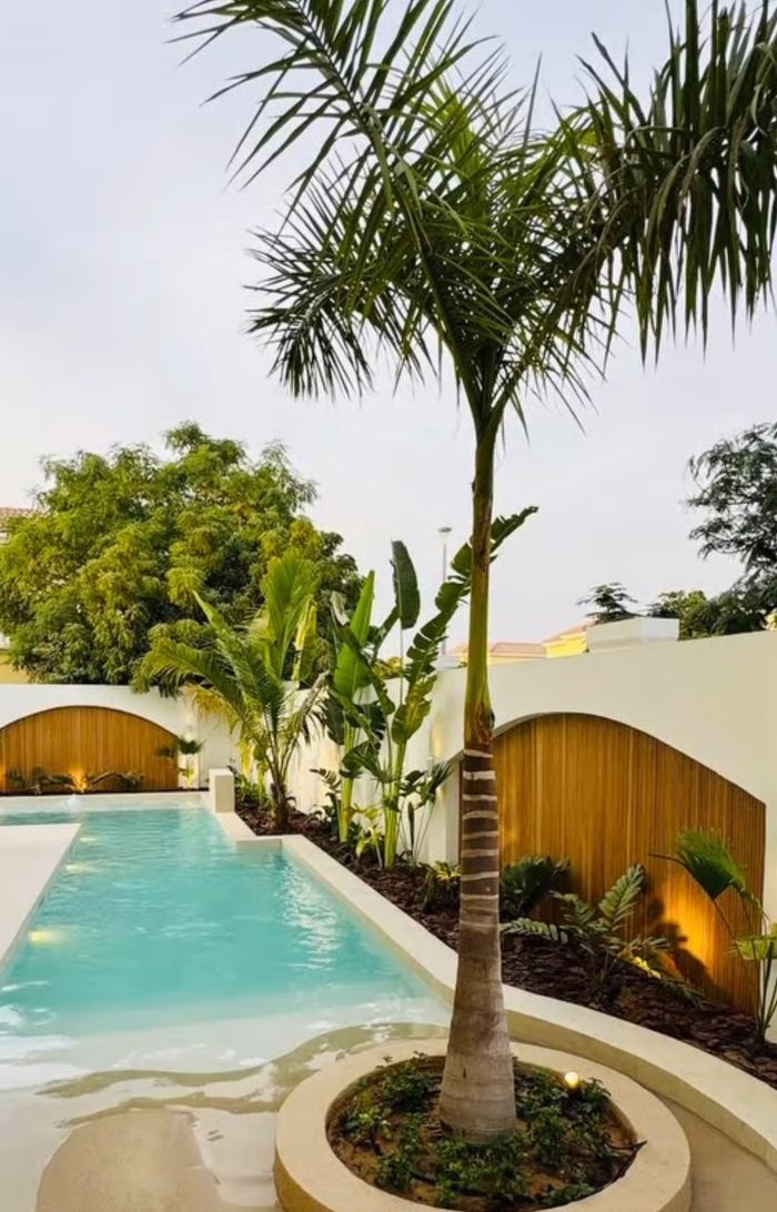Pool Deck with Palm Planters &mdash; completed Crownstone villa renovation, Dubai
